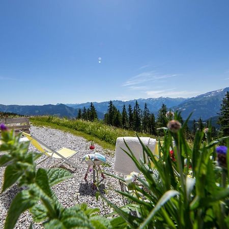 Schmiedhof Alm Hotel Zell am See Ngoại thất bức ảnh