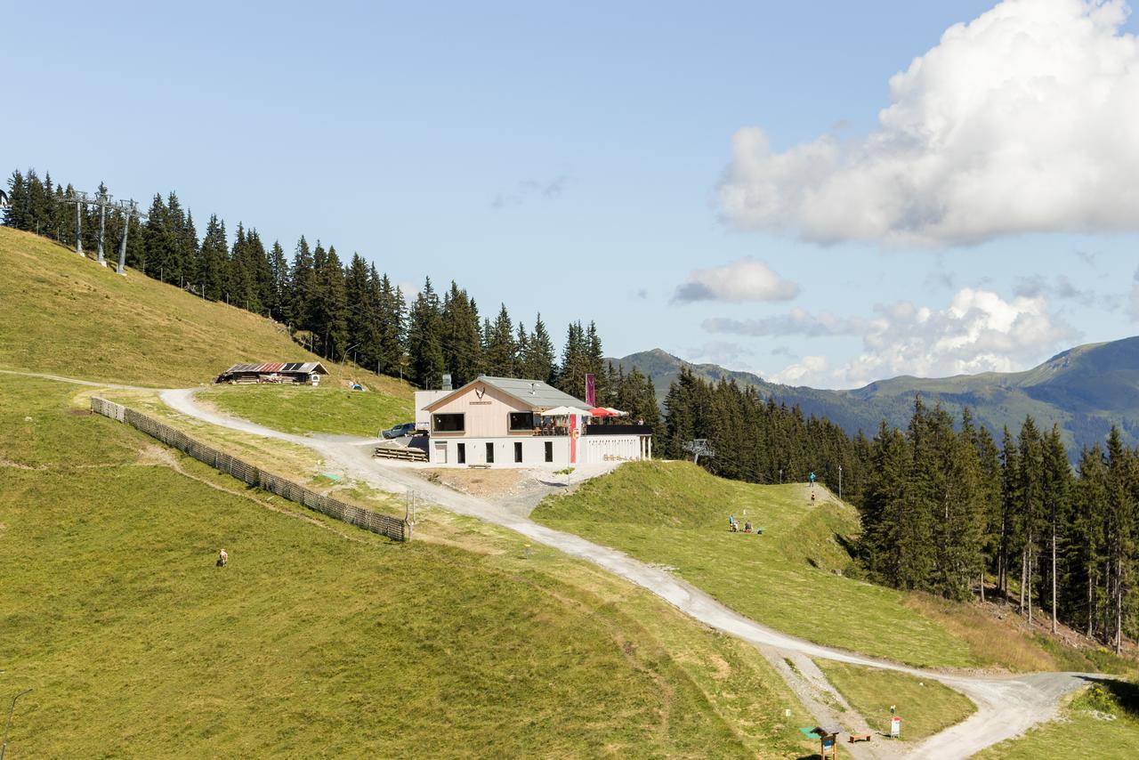 Schmiedhof Alm Hotel Zell am See Ngoại thất bức ảnh