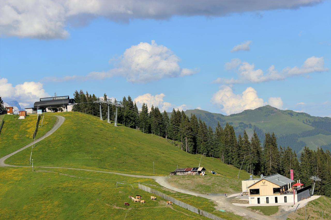 Schmiedhof Alm Hotel Zell am See Ngoại thất bức ảnh